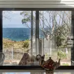 Beachside views from Kitchen