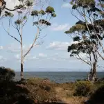 Seaside views from Modular views
