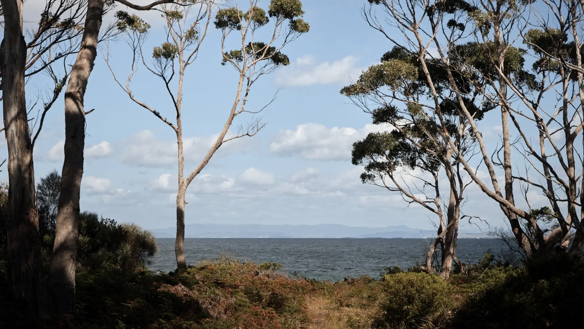 Seaside views from Modular views