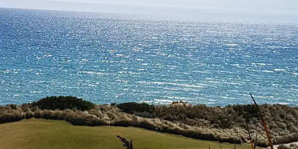 Destination Focus - North East Tasmania