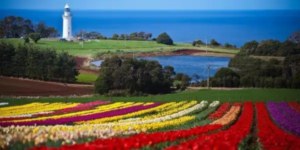 The Best Things To Do In Tasmania